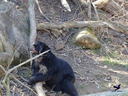 Tiergarten Schönbrunn am 05.03.2026